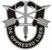 Image result for Army Special Forces Insignia