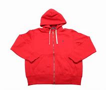 Image result for Polo by Ralph Lauren Button Down Hoodie