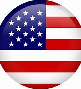 Image result for USA Flag Logo