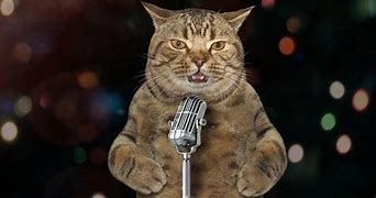 Image result for Animals That Make Clicking Noises