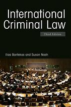 Image result for International Criminal Law