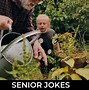 Image result for Appropriate Jokes for Seniors