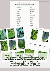 Image result for Plant Identification Template