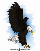 Image result for Bald Eagle Vector Art