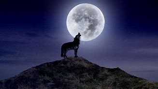 Image result for Full Wolf Moon