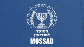 Image result for Mossad Uniform