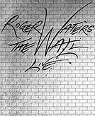 Image result for Roger Waters Concert Costume