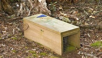 Image result for Wooden Rabbit Traps