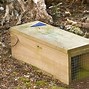 Image result for How to Build Rabbit Trap