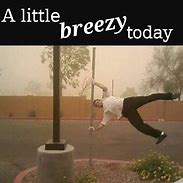 Image result for Funny Quotes About Wind