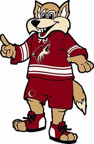 Image result for Phoenix Coyotes Mascot