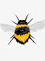 Image result for Bumble Bee Stickers