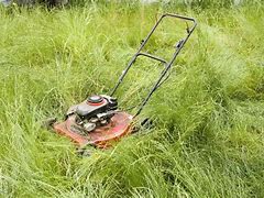 Image result for Lawn Mower On Grass