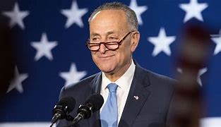 Image result for Minority Leader Chuck Schumer