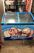 Image result for Blue Bunny Ice Cream Freezer
