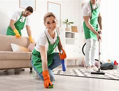 Image result for Professional Cleaning