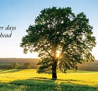 Image result for Bright Day