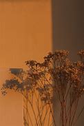 Image result for Brown Aesthetic Wallpaper GIF