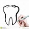 Image result for Molar Tooth Drawing