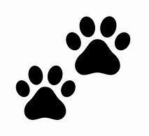 Image result for Cartoon Cat Feet