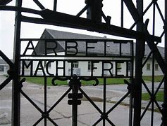 Image result for Dachau Liberated