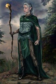 Image result for Male High Elf Wizard