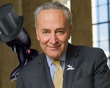 Image result for Chuck Schumer Pictures
