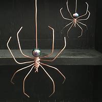 Image result for Copper Wire Bugs