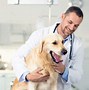 Image result for pet healthcare 