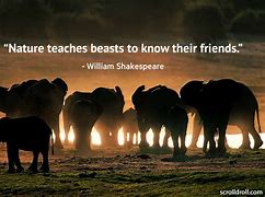 Image result for Famous Quotes About Animals