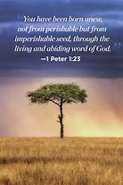 Image result for Uplifting Verse of the Day