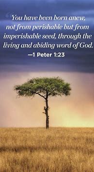 Image result for Inspirational Life Quotes Bible