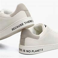 Image result for Sustainable Sneakers B&S Logo