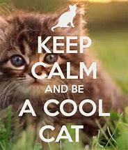 Image result for Keep Calm and Be a Crazy Cat Lady