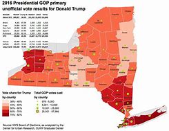 Image result for NYC Election Results Map