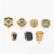 Image result for Vintage Lapel Pins