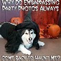 Image result for Dogs Party Funny Jokes