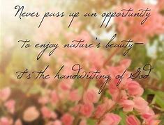Image result for Pretty Quotes About Life