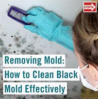 Image result for Removing Black Mold