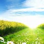 Image result for Sunny Spring Day Wallpaper