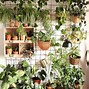 Image result for Table for Plants Indoor