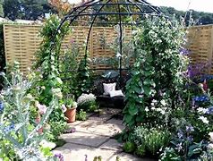 Image result for Climbing Plant Support