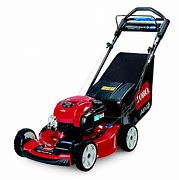 Image result for Toro 22 Self-Propelled Lawn Mower