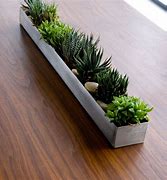 Image result for Indoor Wooden Planters