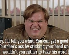 Image result for Tommy Boy Quotes