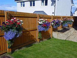 Image result for Planters along Fence