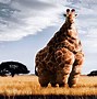 Image result for Wacky Giraffe