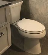 Image result for Flushing Toilet