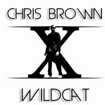 Image result for Chris Brown PC Wallpaper