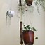 Image result for Hanging Plant Stand Pole